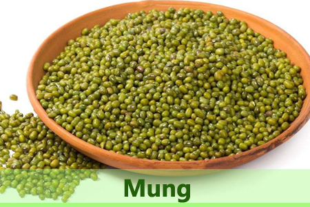 mung